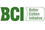 bci.jpg